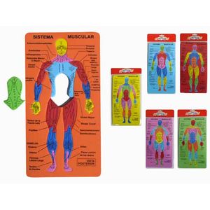 Rompecabezas de Fomix Aprendo, Cuerpo Humano, EVA20167-C 615657