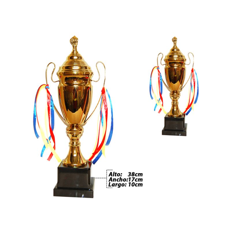 Trofeo Copa del Mundo Replica 22cm y 28 cm Grabado Trofeos Personalizados  Trofeos Deportivos Futbol coleccionistas (22cm) : : Deportes y  aire libre