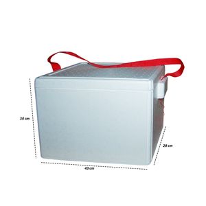 Hielera Rectangular, Espumaflex, Blanca, 30x43x28cm, 2p16h02