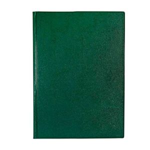 Carpeta Carioca N3, Tipo Oficio, 2 Argollas, Verde, 24x31cm, 531188