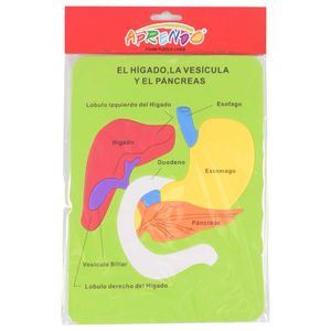 Rompecabezas de Fomix Aprendo, Hígado, EVA21310