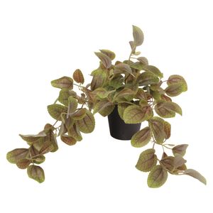 Planta dec.mesa perilla ref:ch06730286