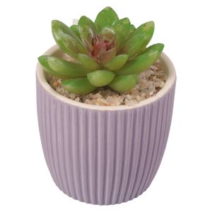 Planta artificial c \ maceta es22753 (6x10cm)