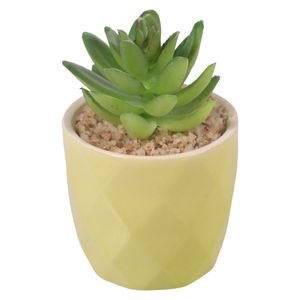 Planta artificial c \ maceta es22752 (6x10cm)