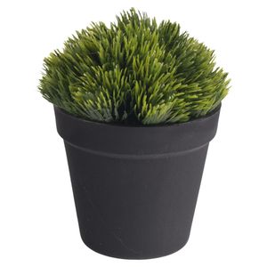 Planta artificial c \ maceta es22820 (10x14cm)