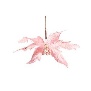 Flor nav.ref:san1324 \ p49089-14