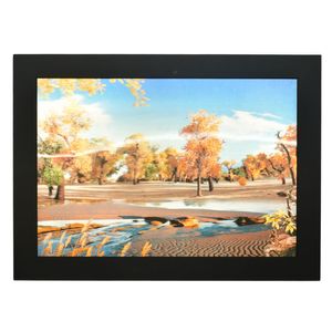 Cuadro optico gde (53x39cm)