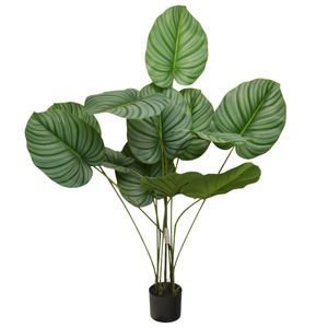 Planta decorativa arrurruz ref:ch07840862 (125cm)