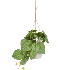 Planta artificial colgante scindapsus ref:ch08739628 (30cm)