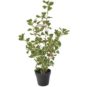Planta decorativa ficus triangular ref:ch10640026 (60cm)
