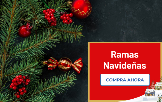 Ramas navideñas